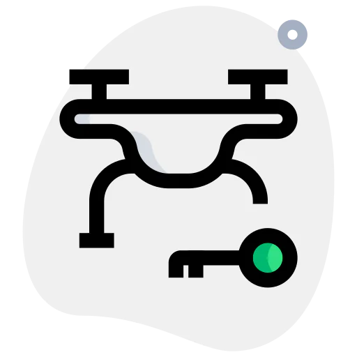 Key icon