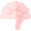 Brain icon 64x64