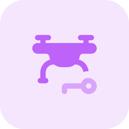 Key icon