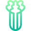 Celery icon 64x64