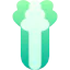 Celery icon 64x64