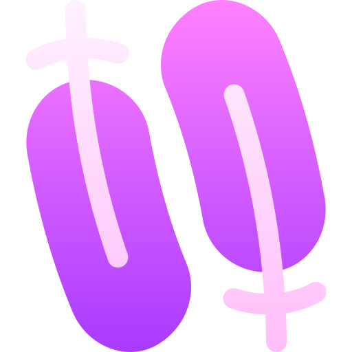 Feather icon