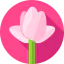Lotus icon 64x64