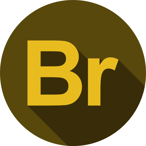 Bridge icon