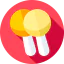 Maracas icon 64x64