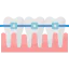 Dental icon 64x64