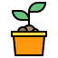 Sprout icon 64x64