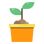 Sprout icon 64x64