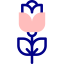 Rose icon 64x64