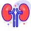 Kidney Symbol 64x64