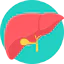 Liver Symbol 64x64
