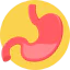 Stomach icon 64x64