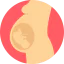 Pregnancy icon 64x64