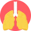 Lungs ícono 64x64