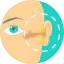 Otorhinolaryngology icon 64x64