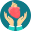 Cardiology icon 64x64