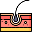 Body hair icon 64x64