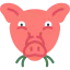 Pig icon 64x64