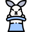 Rabbit biểu tượng 64x64