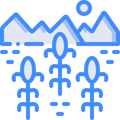 Corn icon