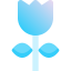 Macro icon 64x64