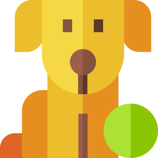 Play icon