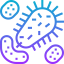 Bacteria icon 64x64