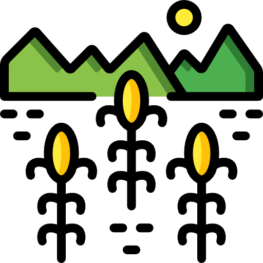 Corn icon