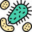 Bacteria icon 64x64