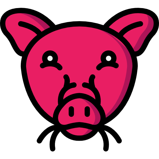 Pig icon