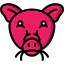 Pig icon 64x64