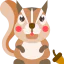 Squirrel icon 64x64