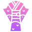 Kimono icon 64x64