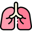 Lungs ícono 64x64