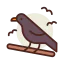 Raven icon 64x64
