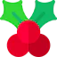 Mistletoe 图标 64x64