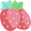 Strawberry icon 64x64