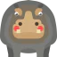 Hippopotamus icon 64x64