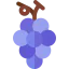 Grapes icon 64x64