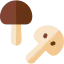 Mushroom icon 64x64