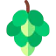 Grapes icon 64x64