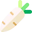 Turnip Ikona 64x64