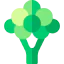 Broccoli biểu tượng 64x64