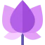 Lotus icon 64x64