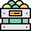 Fruit box icon 64x64