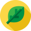 Leaf icon 64x64