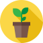 Plant icon 64x64