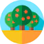 Fruit icon 64x64