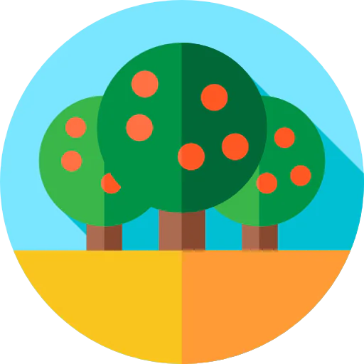 Fruit icon