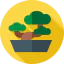 Bonsai icon 64x64